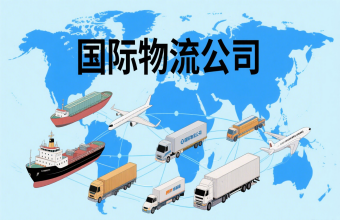 巩固航运枢纽地位!上海国际物流公司为全球贸易往来注入 “新动能”