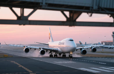 上海国际货代:全球供应链枢纽的数字化转型与生态重构