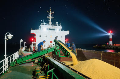 国际货运代理:海运 / 空运 / 陆运全航线,订舱到派送一站搞定